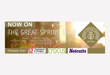 Great Little Store Banner 2