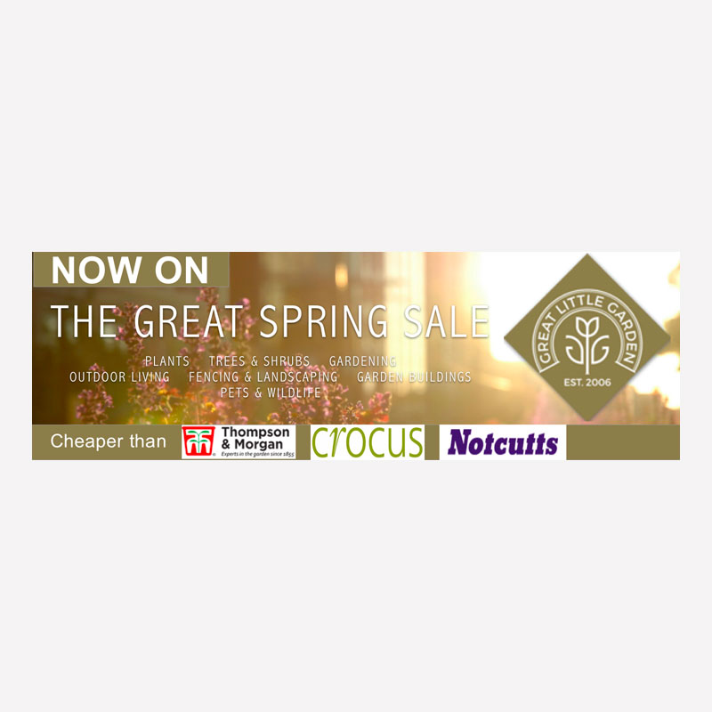 Great Little Store Banner 2