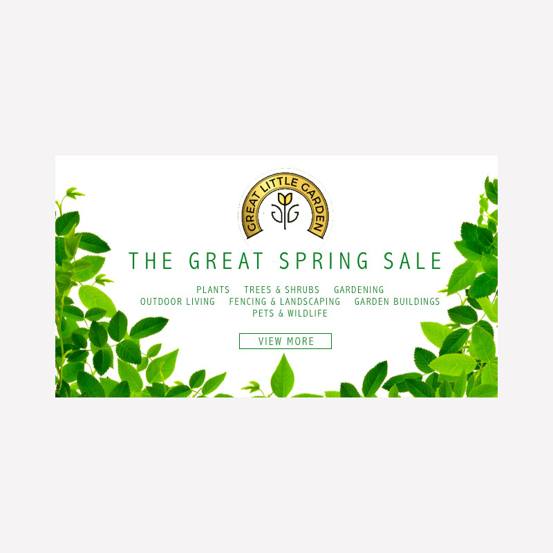 Great Little Garden Email Banner