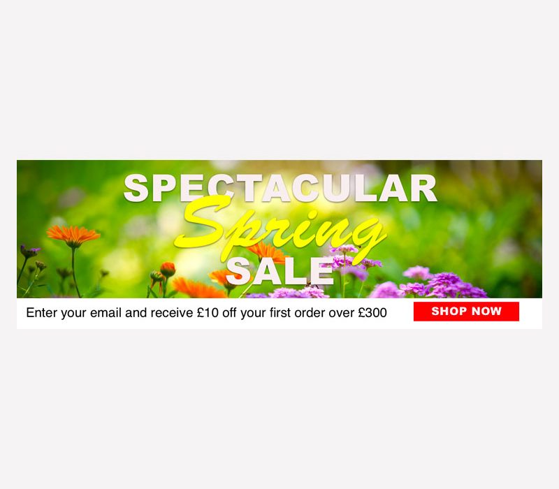 Springstore Graphic 1