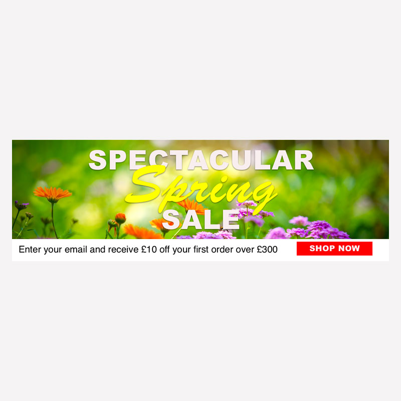 Springstore Graphic 1